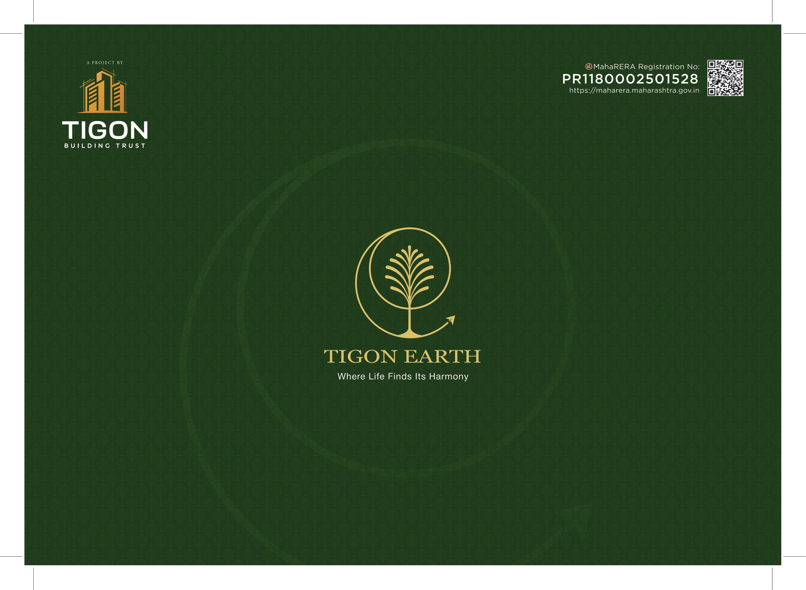Tigon Earth