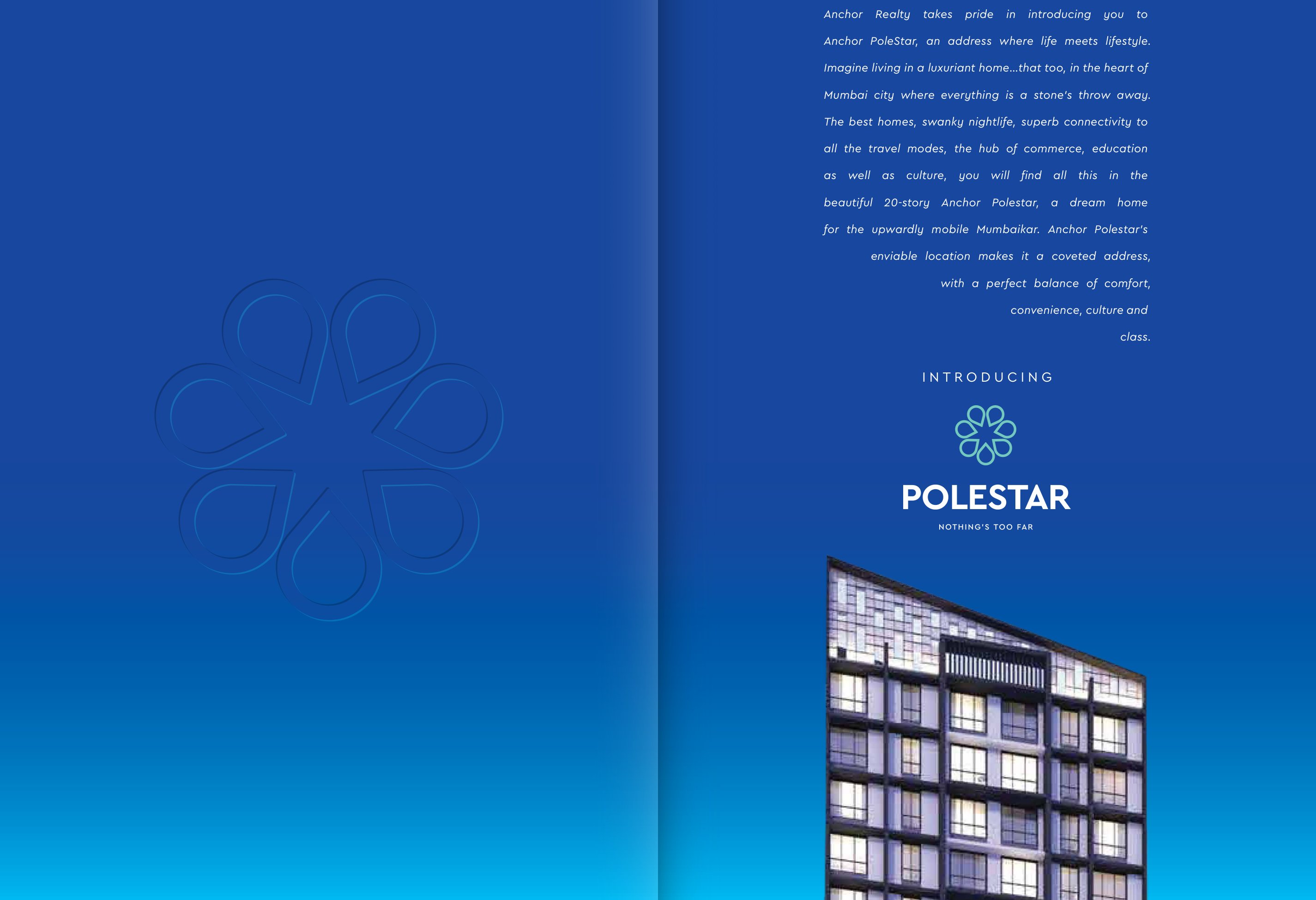 Anchor Polestar